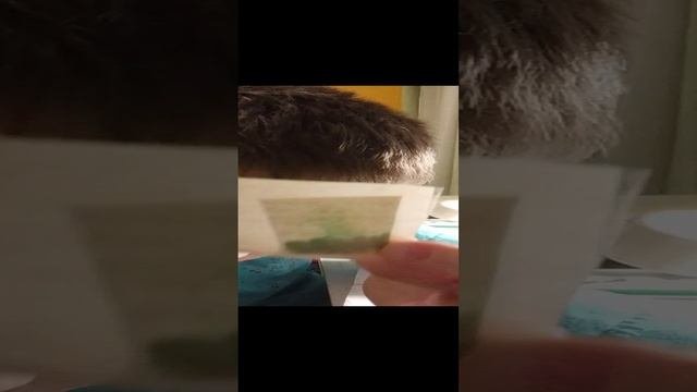 клеим наклейки