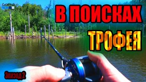 Ловля на крупные приманки ❗В поисках крупной щуки ❗Рыбалка на запруде ❗