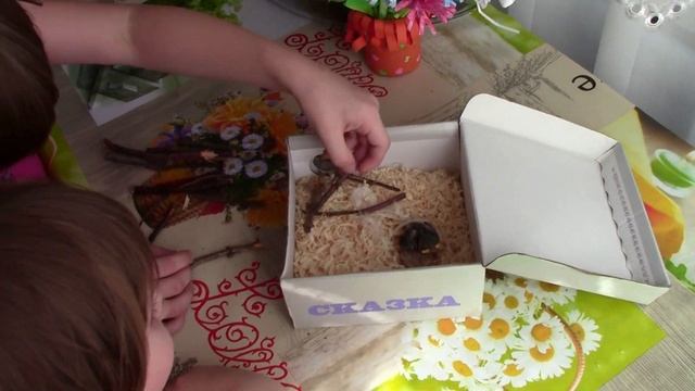Птенец воробья / Спасение птички/ Чем кормить птенца воробья?