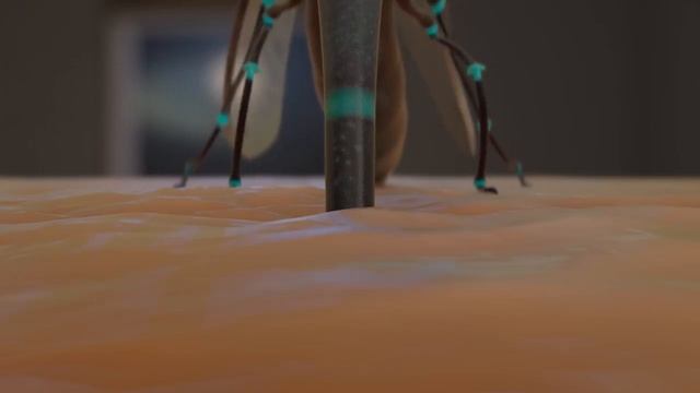 Прикольный мультик про комара. HD смотреть онлайн