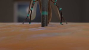 Прикольный мультик про комара. HD