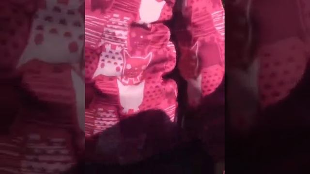 30secondstomars . Джаред Лето в Питере смотреть онлайн