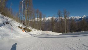 2024-02-27. Сочи. Красная поляна. Реликтовый лес (синяя)