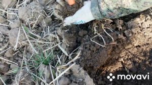 КОП НА ВЛАДИМИРСКОЙ ЗЕМЛЕ.ДЕРЕВНЯ КИШЛЕЕВО.