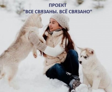 Все связаны. Всё связано