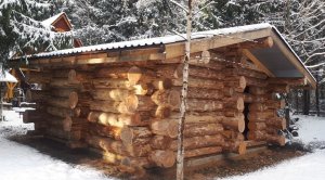 Баня из Рубленного бревна в стиле "ДИКИЙ СРУБ"