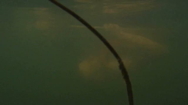 Storm Roll Kayak смотреть онлайн