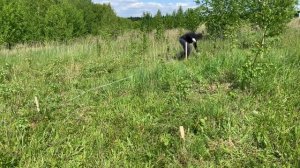 #1 Как определить границы участка и разметить его под строения?