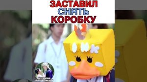 Гадкий утенок