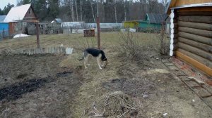 Самоизолировался в огороде.