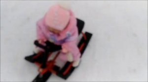 398) Реборны катаются на снегокате!  (Февраль).