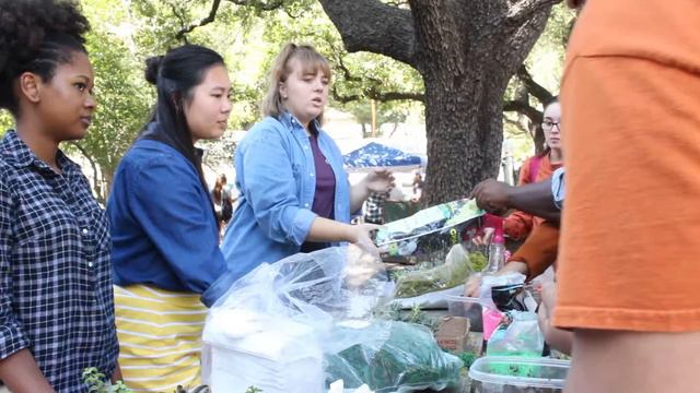 ESW Hosts Build Your Own Terrarium Event смотреть онлайн