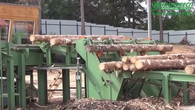 Автоматическая линия сортировки круглого леса тип RSA-E10/2