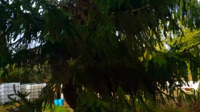 2ч. Бюджетный, без пленки пруд своими руками. смотреть онлайн