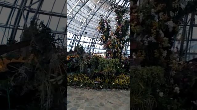 Вьетнам. Нячанг. Остров развлечений Vinpearl. Шикарные Орхидей смотреть онлайн