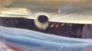 Креветка Амано выпускает первые личинки.Разведение Амано