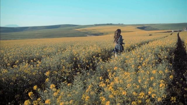 Как мстят Знаки Зодиака? Стихия Огонь. Знаки Зодиака.