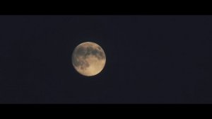 ТОП 10 ЛУЧШИХ НАШИДОВ 2024