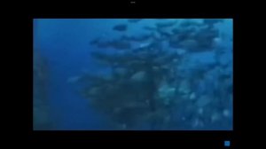 Life Could Be A Dream