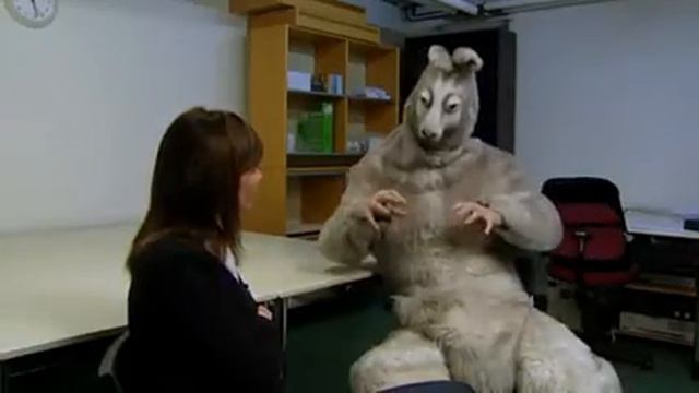 ‪Ballar av stål   TV mannen besöker Sverigedemokraterna‬   YouTube смотреть онлайн