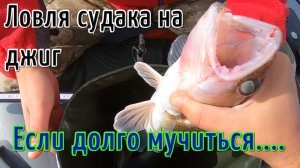 Ловля судака на джиг. Лучшая приманка для судака. Река Кама.