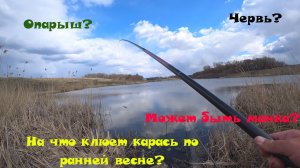 Весенний карась на поплавок