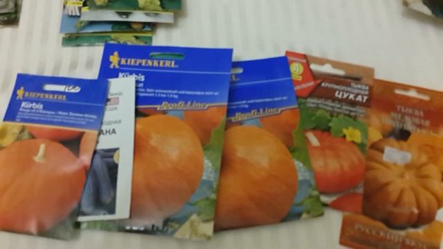 Всё что я знаю о семействе тыквенных. смотреть онлайн