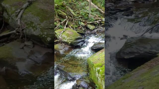 Rickett's Glen Falls Trail, Benton, PA 9/10/22