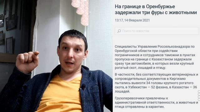 Животноводство на дне? В дебрях сельского хозяйства. Молочное и Мясное направление смотреть онлайн