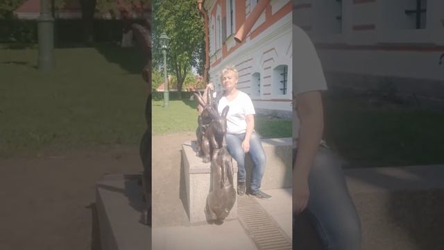 Ветер Балтики, у нас есть щенки чихуахуа и мопса смотреть онлайн