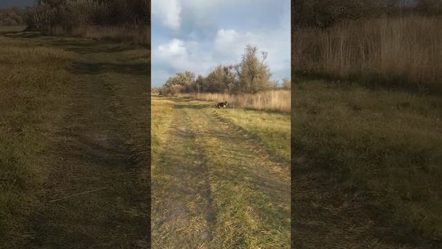 Аффирмации С каждым днём всегда и во всем мои дела идут все лучше и лучше . смотреть онлайн