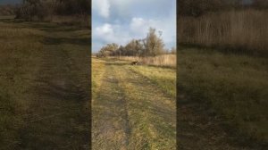 Аффирмации С каждым днём всегда и во всем мои дела идут все лучше и лучше .