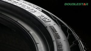 DOUBLESTAR WINTERKING DW08