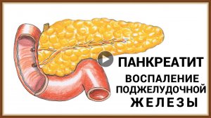ПАНКРЕАТИТ - ВОСПАЛЕНИЕ ПОДЖЕЛУДОЧНОЙ ЖЕЛЕЗЫ.mp4