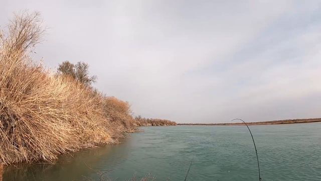ОТЛИЧНЫЙ КЛЁВ В БЕСКЛЁВЬЕ. ратлины не просто рулят,  они разруливают )))