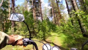 Мопед Кольт (Colt) Поездка по лесу POV