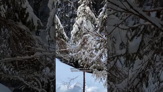 Экотропа в Карелии