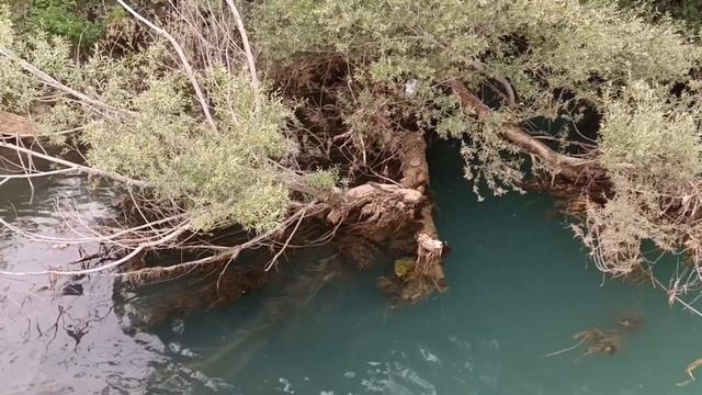 Сиде. Прогулка на яхте по реке Манавгат. смотреть онлайн