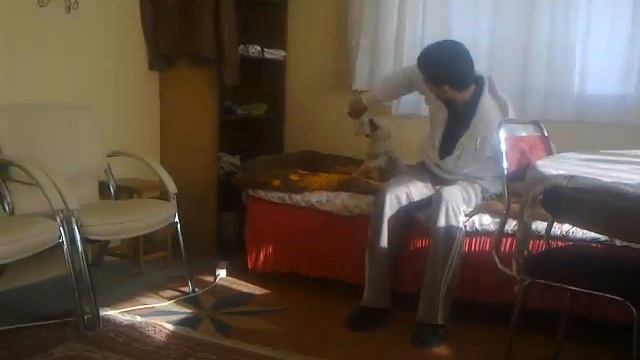 взять игрушку любой ценой )) смотреть онлайн