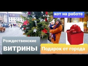 Рождественские витрины. Кот на работе. Подарок от города.