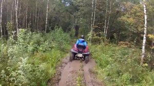 Спокойная езда на квадроциклах в парке.