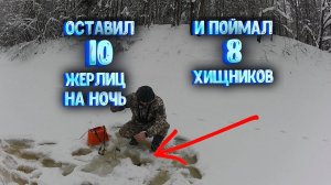 ✔ ПОСТАВИЛ 10 ЖЕРЛИЦ на ночь И ПОЙМАЛ 8 хищников