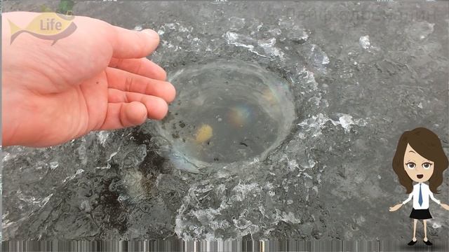 Зимние ароматизаторы которые рыба чувствует за километр! Лучшие зимние аттрактанты для рыбалки! смотреть онлайн