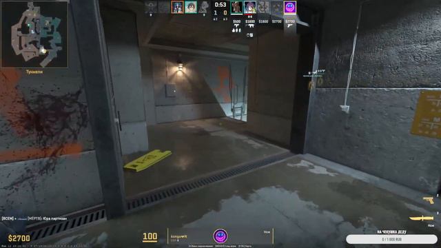 Tренируемся 5 на 5 кс 2 стрим смотреть онлайн