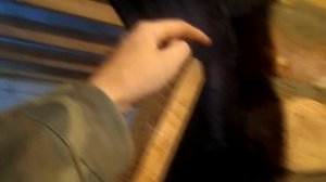 Как сделать арку из кирпича
