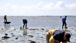 Пассаж дю Гуа ( Passage du Gois ) - дорога, которая тонет каждый день. #Франция