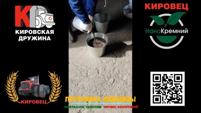 Протравка пшеницы минеральным удобрением КИРОВЕЦ НаноКремний ООО Галкинское смотреть онлайн
