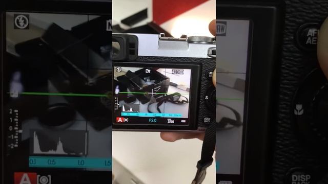 23 октября 2023 г. смотреть онлайн