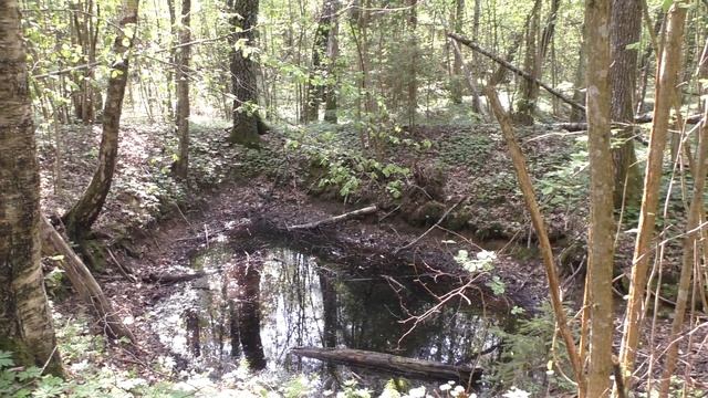 Лес 27 (Новоспасский). 3-я восточная траншея. Продолжение 2 смотреть онлайн