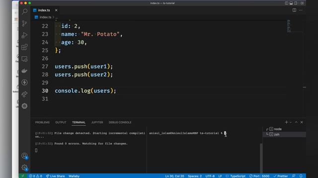 typescript bangla tutorial 20 : interface as types смотреть онлайн